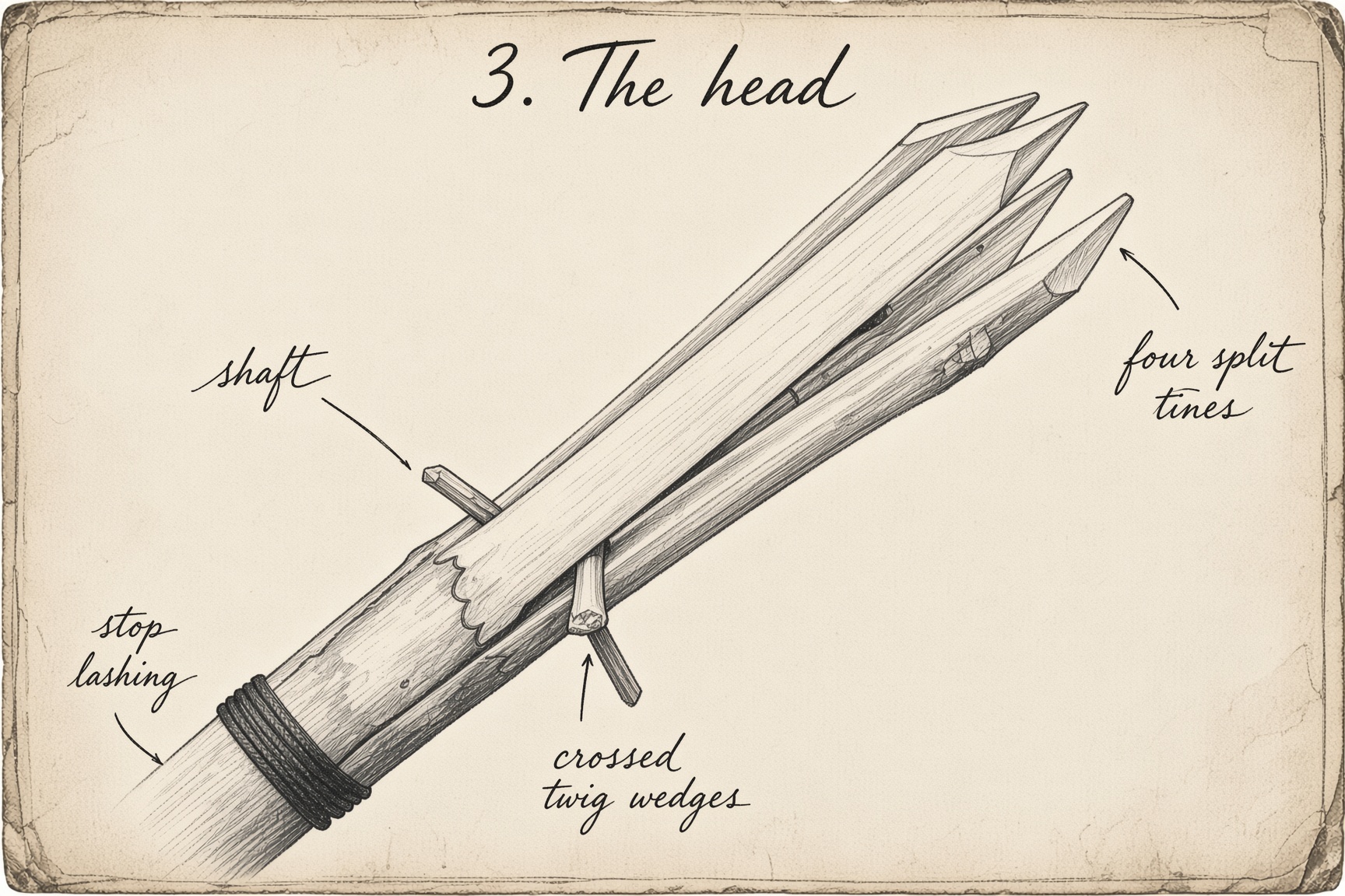 Four-point spear head with crossed twigs lashed in place — accurate gig plate