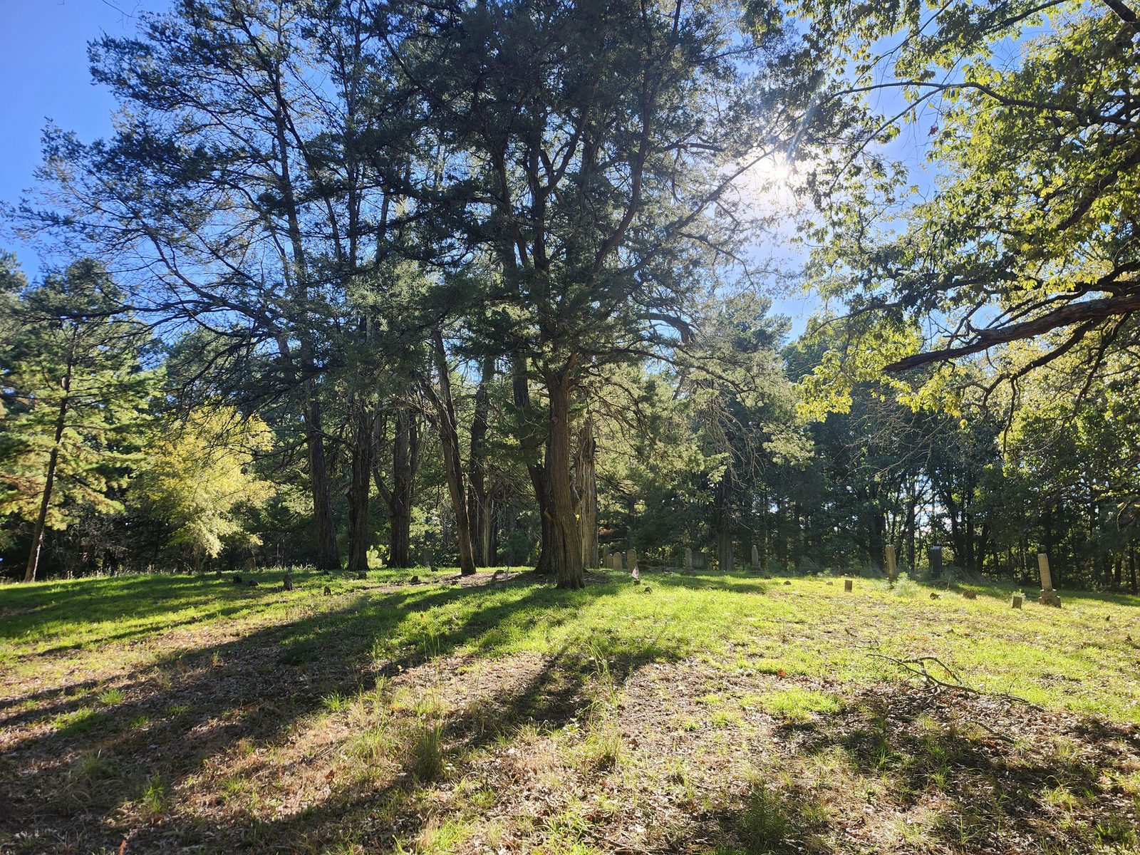 Small markers in the grass among tall trees at the Norwegian Cemetery