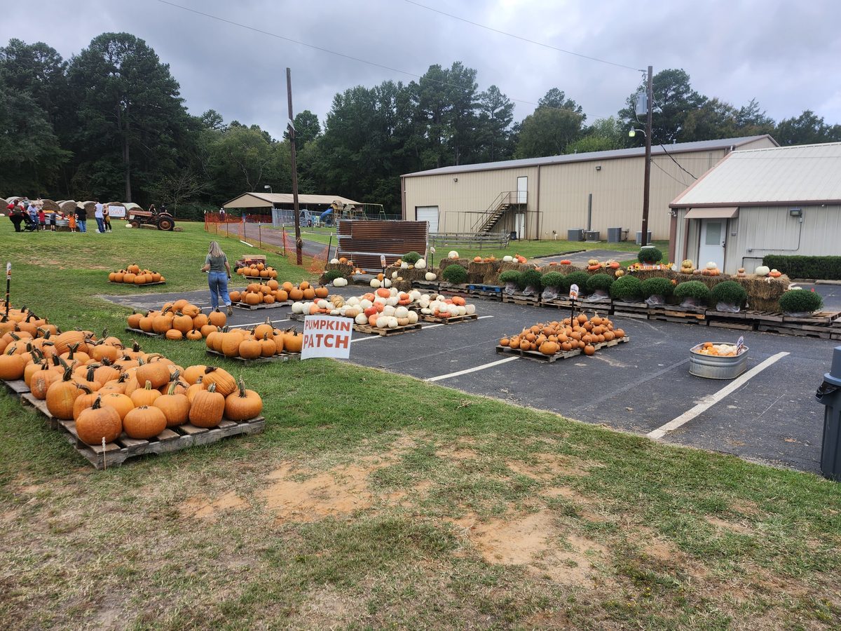 Rows of orange and white pumpkins fill the patch at Union Hill Baptist Church, with the pumpkin patch sign and the grounds beyond